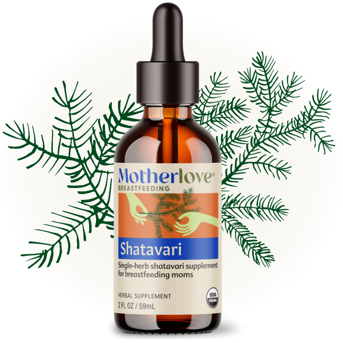 Motherlove Shatavari