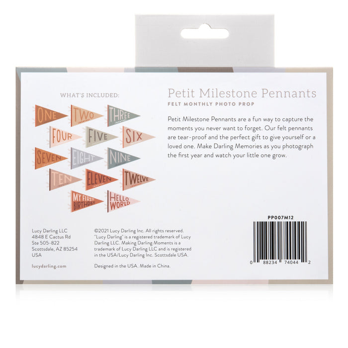 Mountain Fields Petit Milestone Pennant - Babies in Bloom