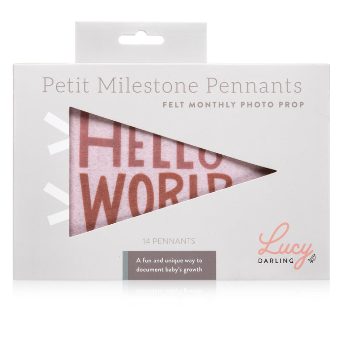 Mountain Fields Petit Milestone Pennant - Babies in Bloom