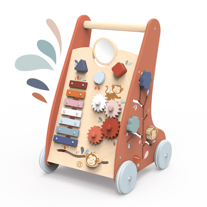 Multi-activity Walker - Babies in Bloom