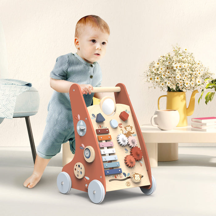 Multi-activity Walker - Babies in Bloom