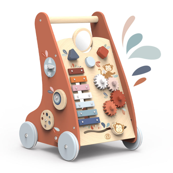 Multi-activity Walker - Babies in Bloom