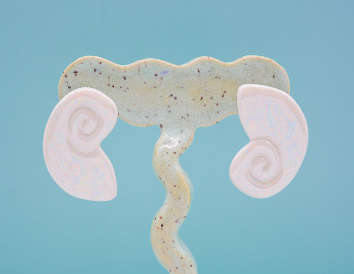 Nautilus Studs