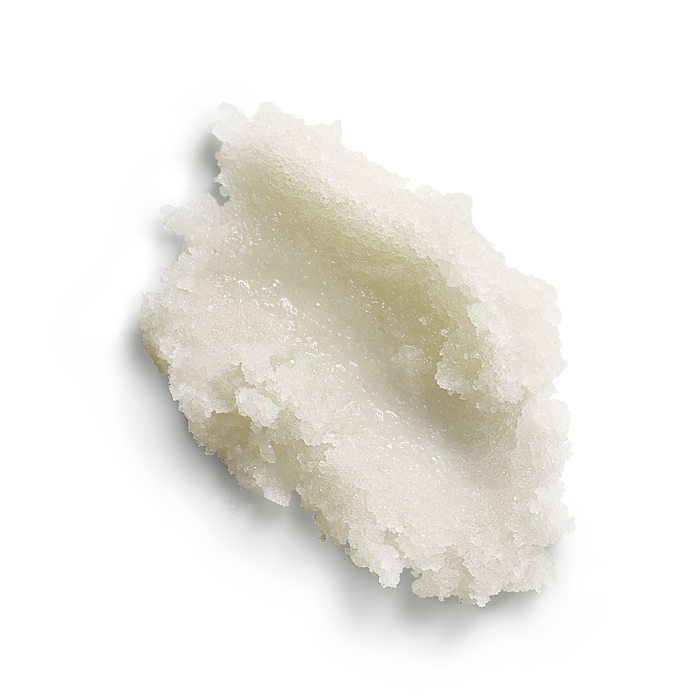 Next Generation Body Scrub White Tea 11.3oz (320g)