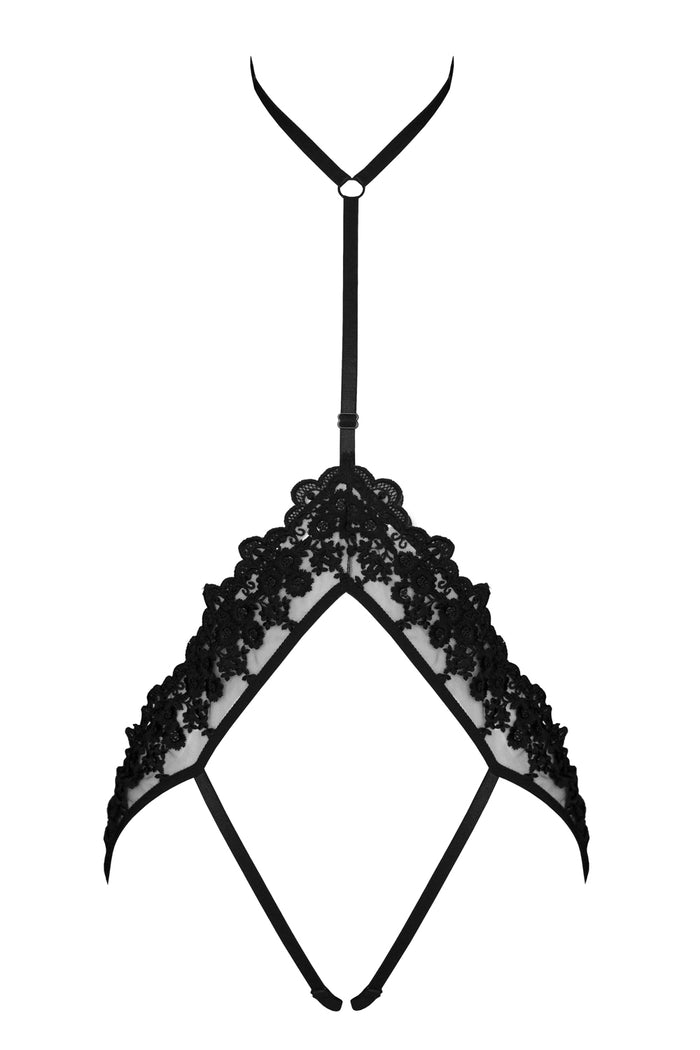 Paramour harness