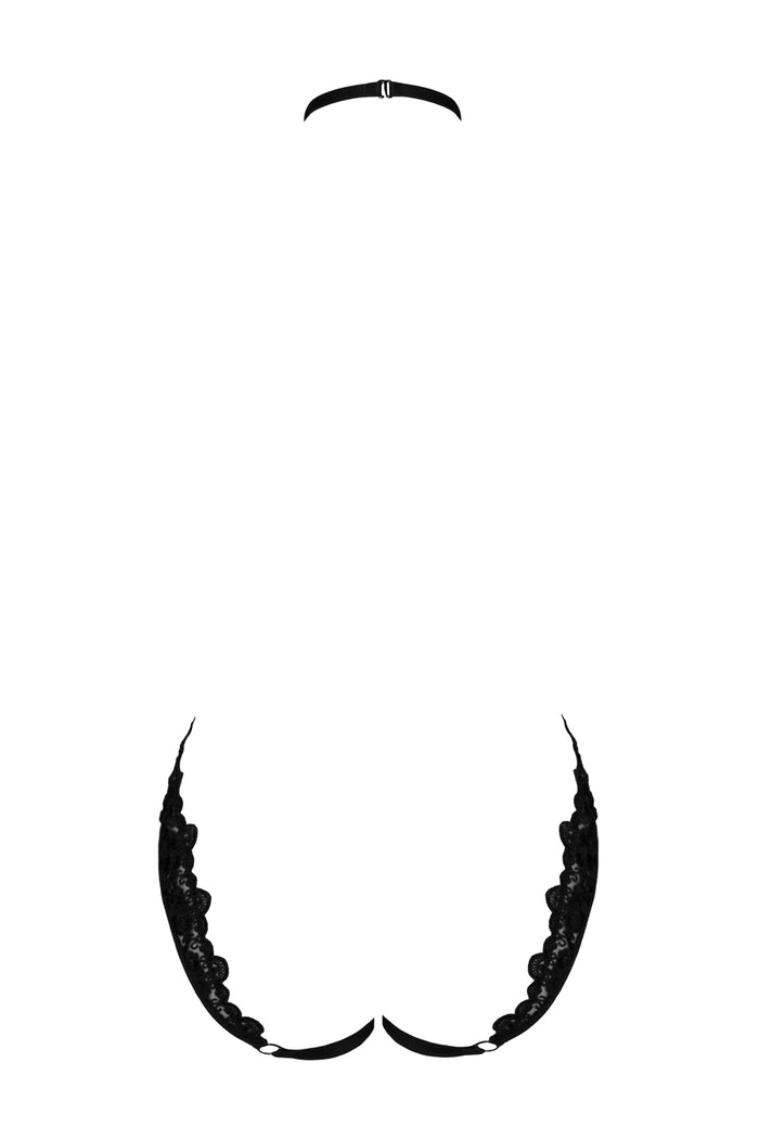 Paramour harness