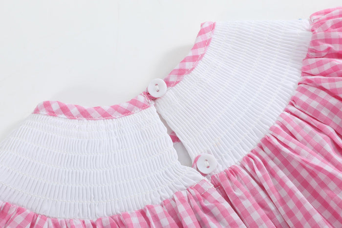 Pink Gingham ABC School Bishop Dress - Lil Cactus
