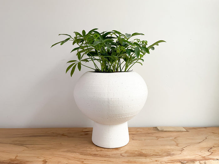 Rios Planter