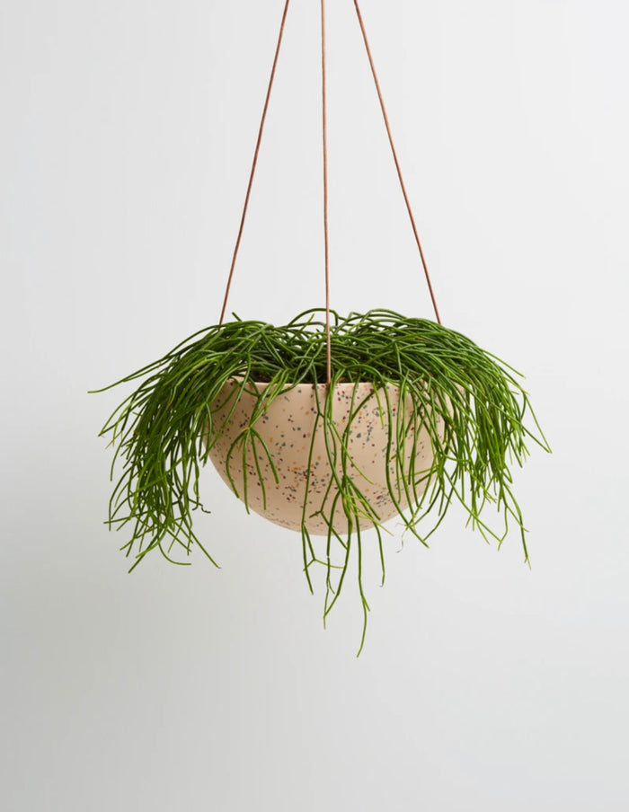 Salt Terrazzo Dome Hanging Planter