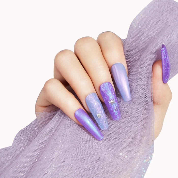 Shimmering Seashell