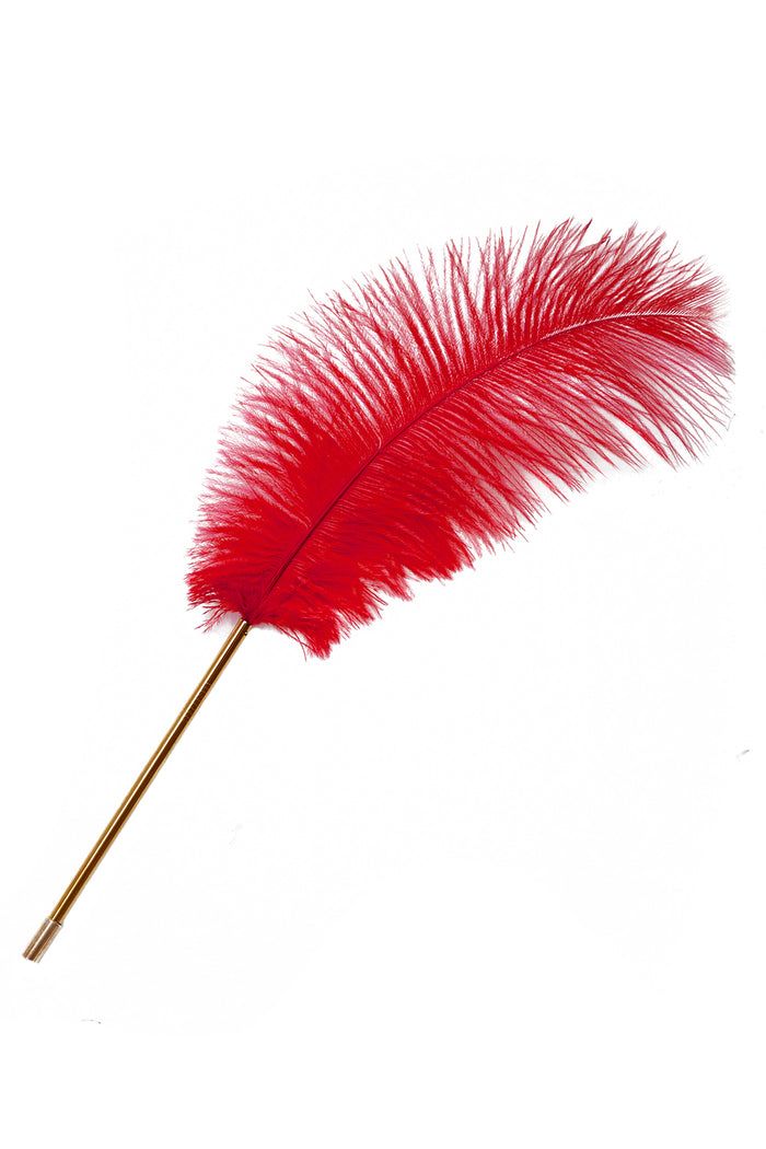 SlaveMe Red feather by Secret Room