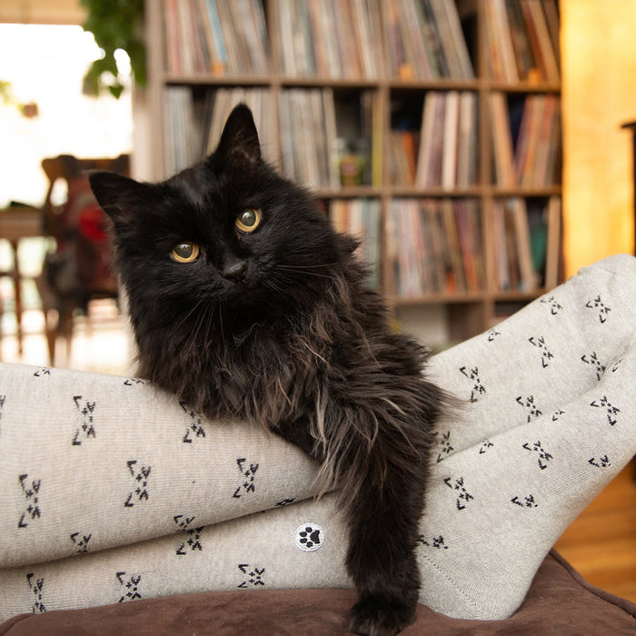 Socks that Save Cats (Select from 4 Designs)