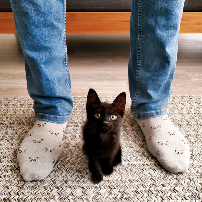 Socks that Save Cats (Select from 4 Designs)