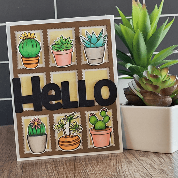 Sweet Succulents Clear Stamps - Whimsy Stamps