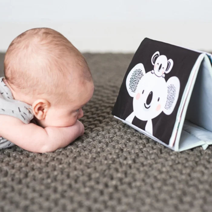 Taf Toys Kimmy Koala Tummy Time Book - ebebek - Black Friday