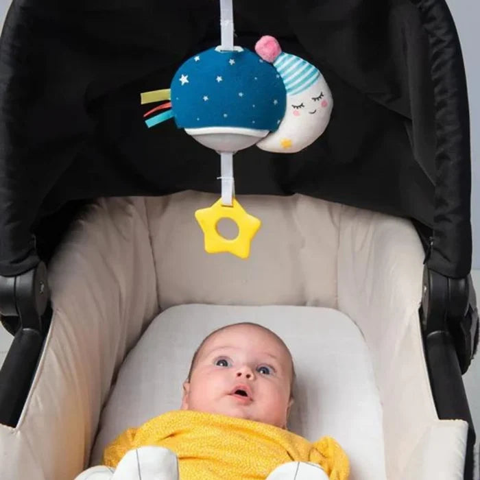Taf Toys Musical Mini Moon - ebebek - Black Friday