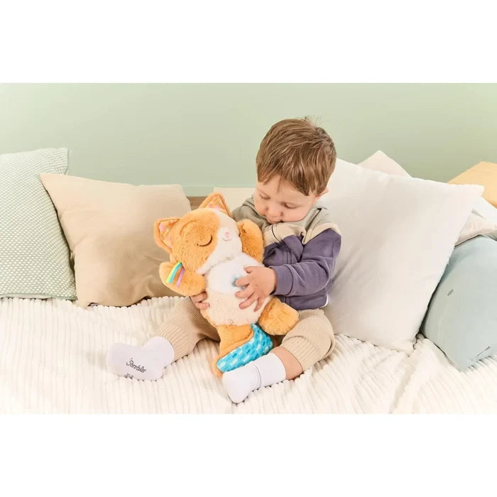 VTech Calming Purrs Kitten - ebebek - Black Friday