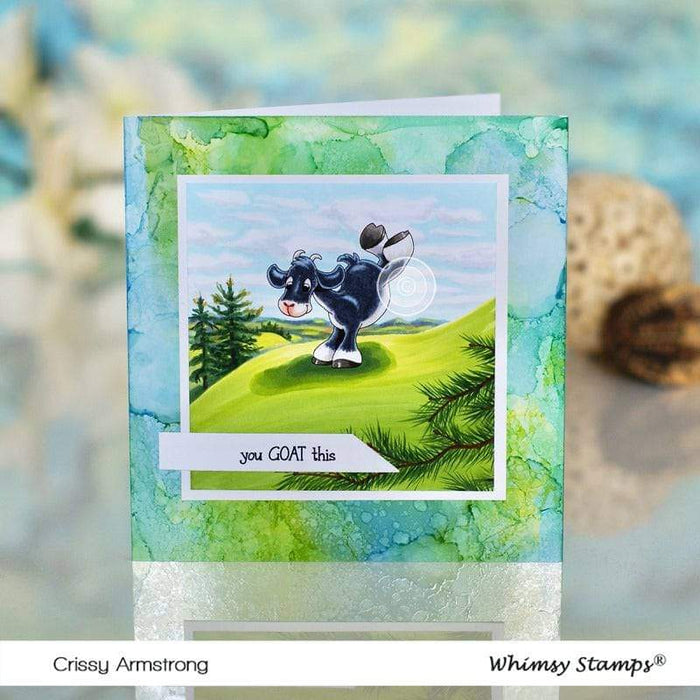 Yoga Animals Clear Stamps - Whimsy Stamps